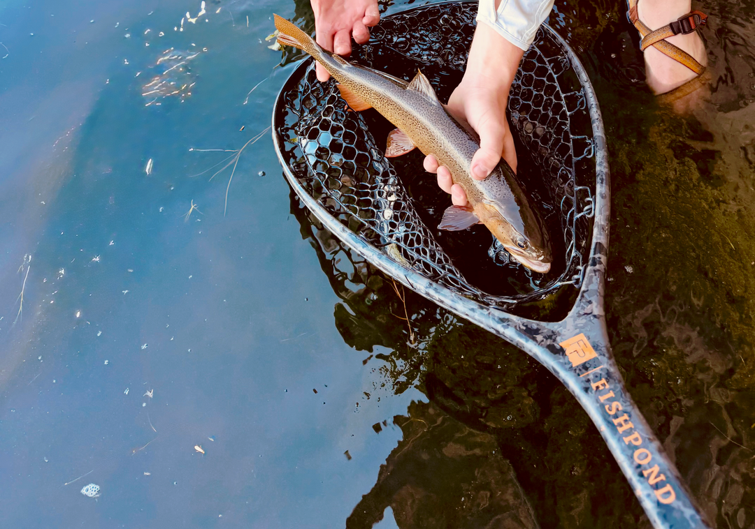 Inflatable Fishing Boat: 6 Core Differences Compared to Drift Boats
