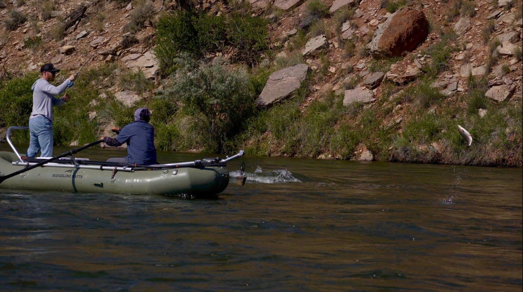 How to Catch More Trout Out of Your Inflatable Fishing Boat This Summer