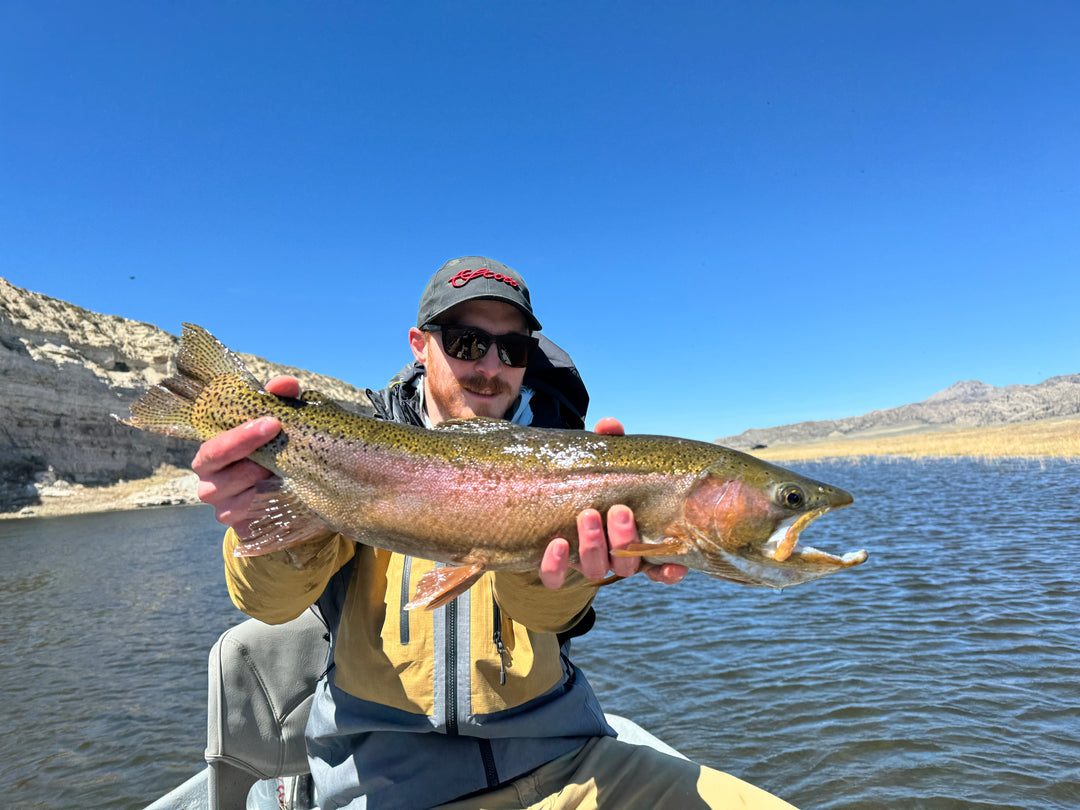 How Kelly Galloup Changed How I Fished Streamers