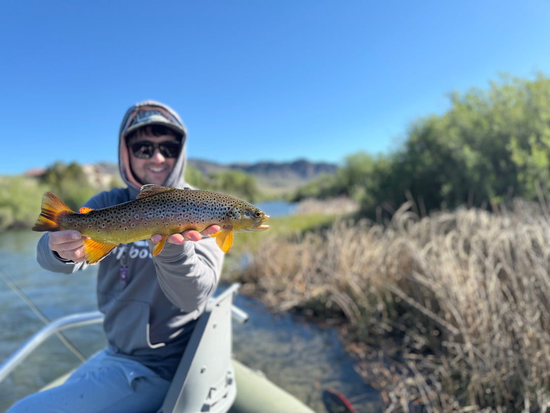 The Best Fly Rods for Fishing from a Boat: What to Bring and Why (Part 1)