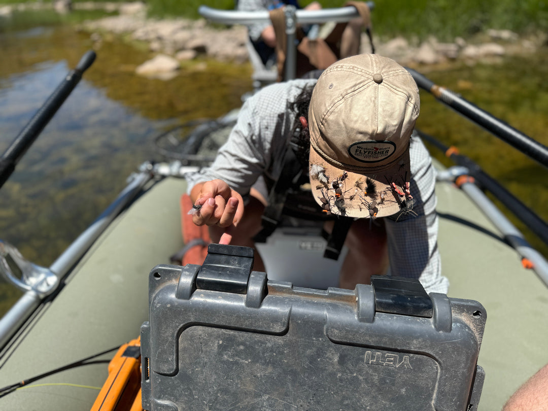 Why First-Time Anglers Should Consider Guided Fishing Trips